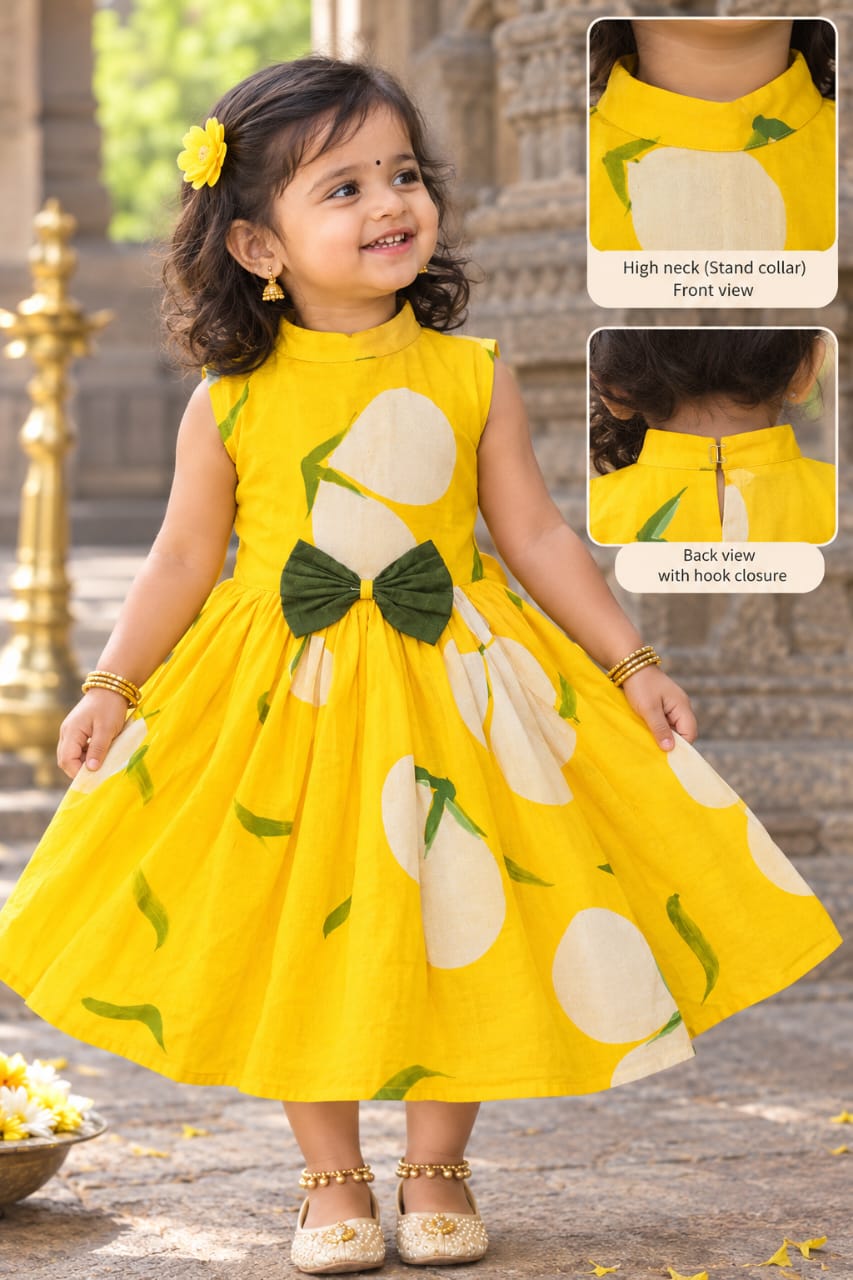 Pure georgette high neck girls frock